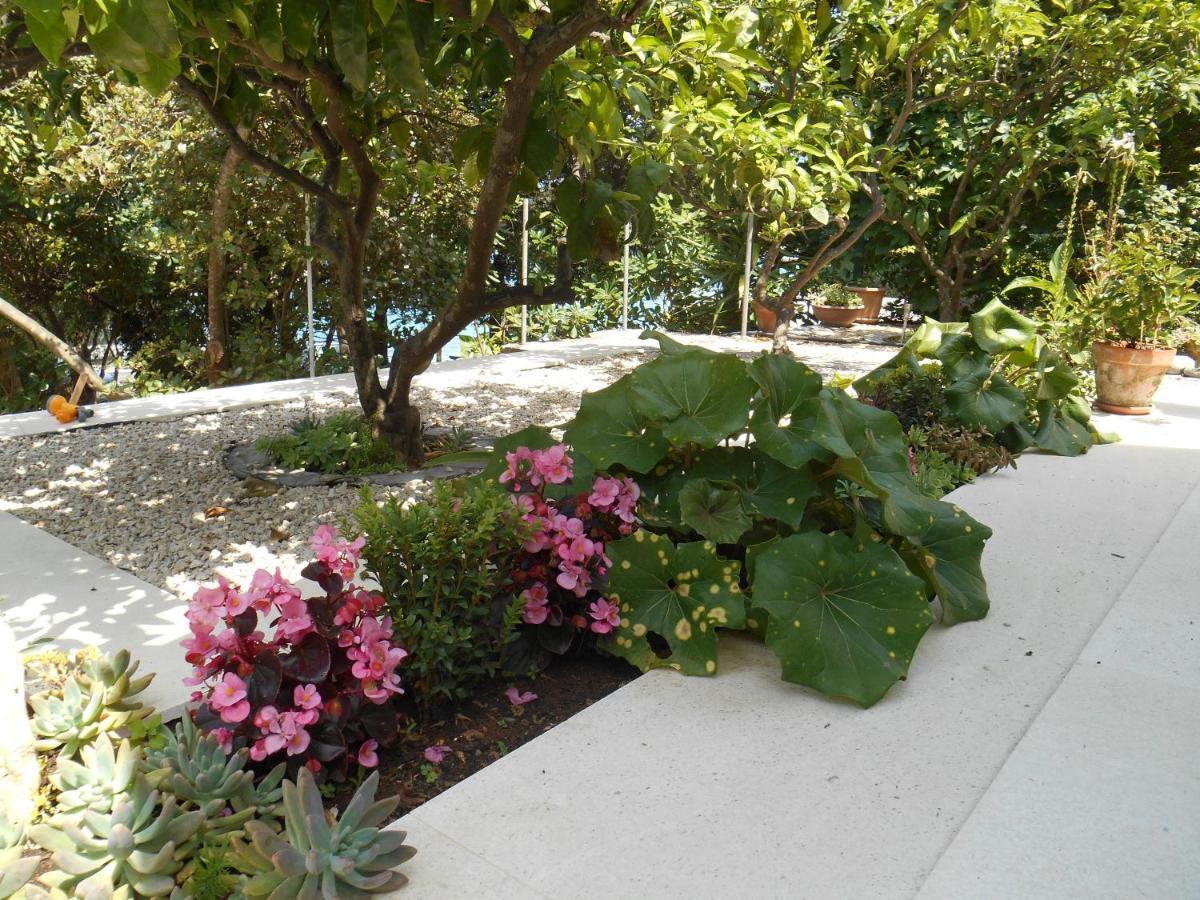 Apartment Marija กอร์จูลา ภายนอก รูปภาพ